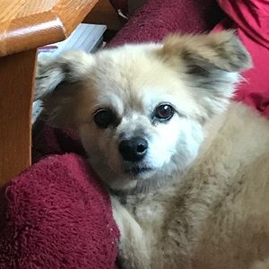 Meet your Posher, Jenna